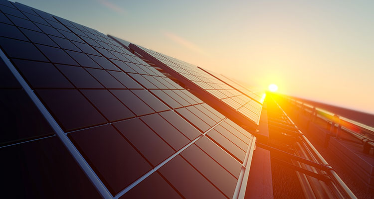 Sun setting over an array of solar panels