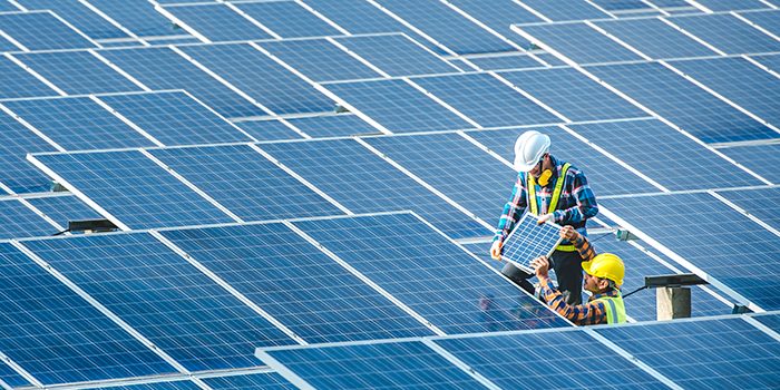 Two people are working in a field of solar panels.