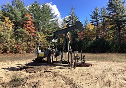 Nodding donkey drilling rig