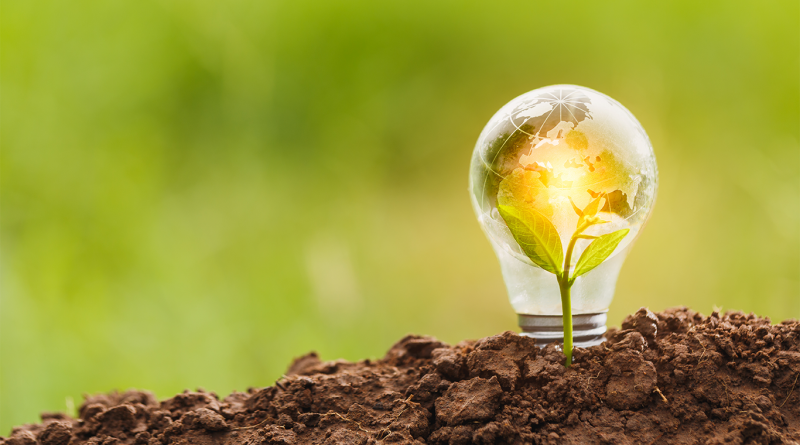 Lightbulb in soil on bright day to support Renewable energy advancements article