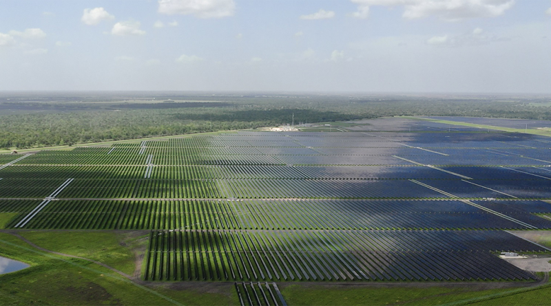 Lightsource bp's 288MW solar portfolio in Texas