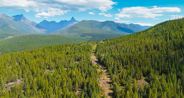 Flathead Electric Cooperative is bringing a new era of clean energy to the state of Montana Power lines zig zag through the edge of Flathead Electric Cooperative's heavily-wooded service territory near Glacier National Park.