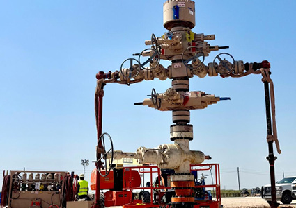 a wellhead assembly and Christmas tree