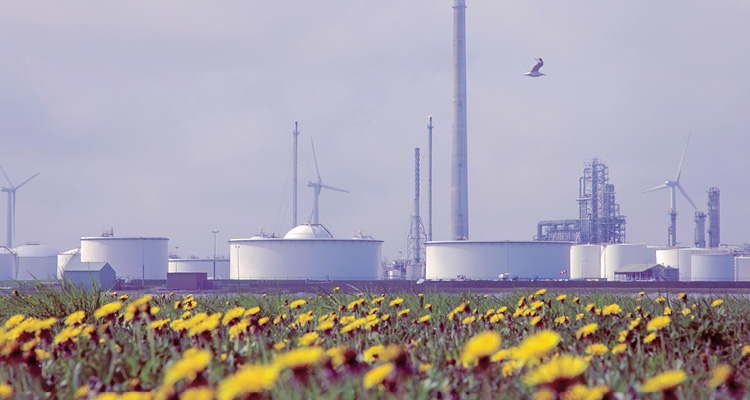 an industrial area in the Port of Rotterdam, Netherlands, featuring a field of yellow dandelions in the foreground with oil storage tanks, industrial refinery structures, and wind turbines in the background